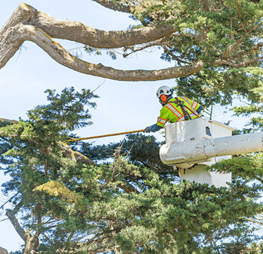 Lightning Protection